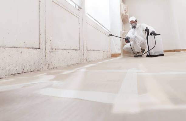 24/7 Emergency Mold Testing experts in Oakland, OR