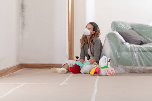 Reliable Mold Testing contractor in Oakland, OR by WQB Mold Removal