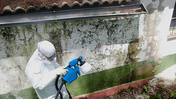 Top rated local Mold Testing specialists in Oakland, OR